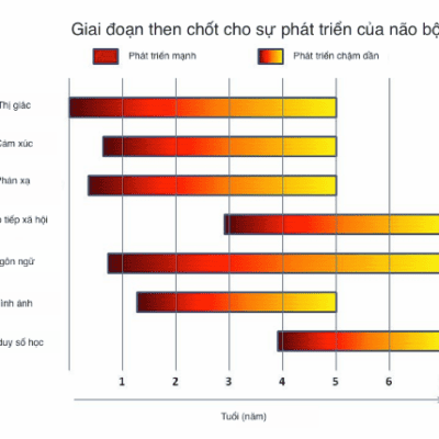 Phát triển trẻ thơ toàn diện trong thời đại 4.0 và hội nhập quốc tế - NGND.PGS.TS. Nguyễn Võ Kỳ Anh