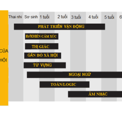 Đặc điểm phát triển não bộ trẻ em và ứng dụng trong giáo dục trẻ từ sớm - TS. NGUYỄN THỊ MAI CHI